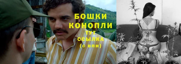 Альфа ПВП Горно-Алтайск