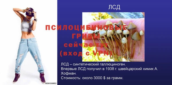 мдма Горняк