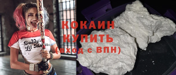 Альфа ПВП Горнозаводск