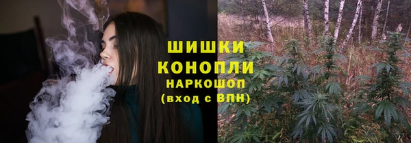 Альфа ПВП Горнозаводск