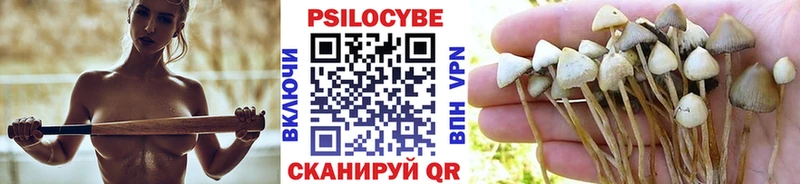 Купить закладки  Кингисепп  Галлюциногенные грибы Psilocybine cubensis 